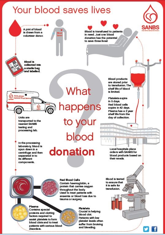 What happens to your blood donation